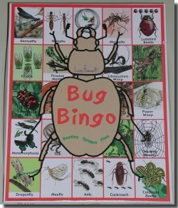 Lucy Hammett Games Bug Bingo