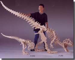B.C. Bones Allosaurus