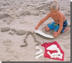Small World Toys Dino Beach Bones