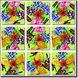  b. dazzle / American Native Flowers Scramble Squares® Puzzle 